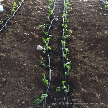 Sistema de riego por goteo integrado de agua y fertilizantes